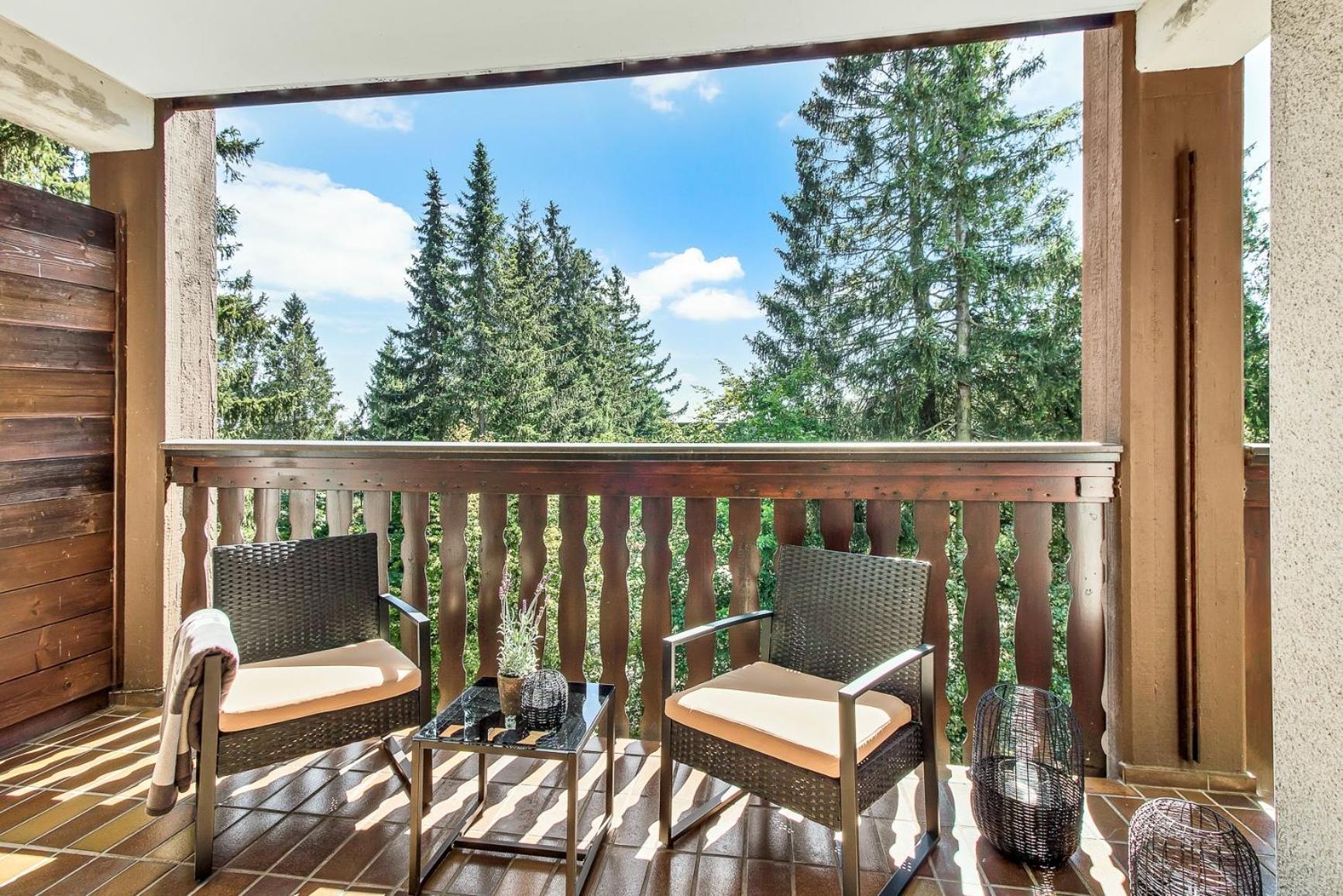 2 Bedroom Apartment Tokio And Sauna, 100M To Ski And Bikepark Winterberg Kültér fotó